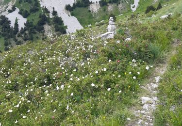 Trail Walking Châtillon-en-Diois - menée le natal le jocou  - Photo