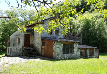 Percorso A piedi Bene Lario - Sentiero Riserva lago del Piano - Photo