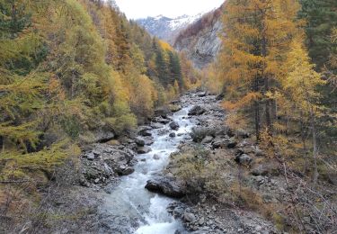 Trail Walking Champoléon - Village de Méollion.26/10/20. - Photo