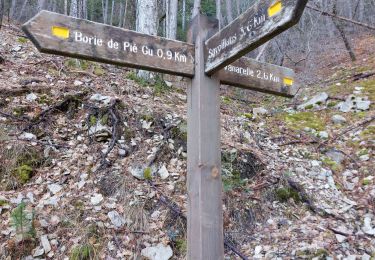 Tocht Stappen Savoillan - Cabane de Pié Gù - Photo