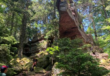 Tour Wandern Rappoltsweiler - Taenchel  - Photo