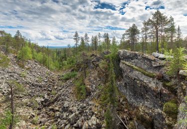 Randonnée A pied Savukoski - Sotsonportin kierros - Photo