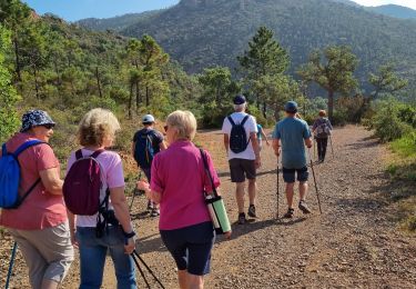 Tour Wandern Saint-Raphaël - z le mamelon de l'écureuil 06-06-23 - Photo