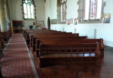 Tour Zu Fuß South Tyneside - Bede's Way - Photo