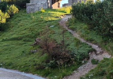Tour Wandern Flitsch - Etape 1 : hut to hut  - Photo
