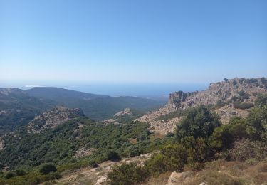 Tocht Stappen Santu Lussurzu/Santu Lussurgiu - Sommets de la Montiferru 27.9.23 - Photo