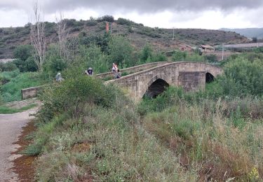 Excursión Senderismo Puente la Reina - 2023 05 estella - Photo