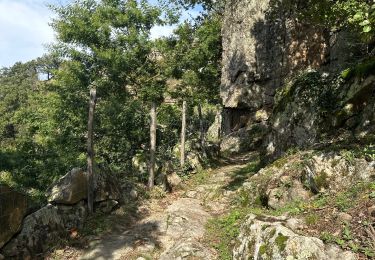 Tour sport Pranles - Volcan des Chirouses - Azur - Photo