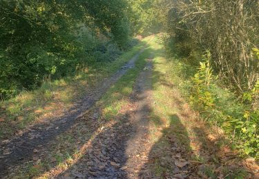 Tocht Paardrijden Lavernat - lavernat nouzillard - Photo