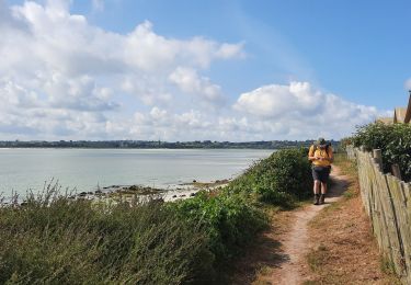 Trail Walking Plounéour-Brignogan-Plages - -Pleneour Brignogan - Photo