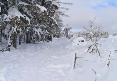 Tour Nordic Walking La Tour-d'Auvergne - 04/01/2021 l'asthme (63) - Photo