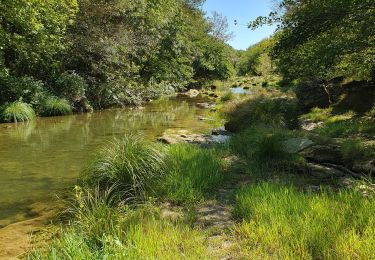 Trail Walking Sommières - Sommières les moulins du Vidourle  - Photo