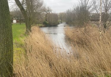 Tour Wandern Deinze - Filliers Deinze  - Photo