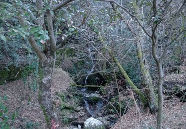 Trail Walking Saint-Privat-de-Vallongue - 48 le pont de champermal  le 06/02/25 - Photo