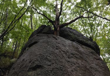 Tour Wandern  - Seseok Shelter Jirisan  - Photo