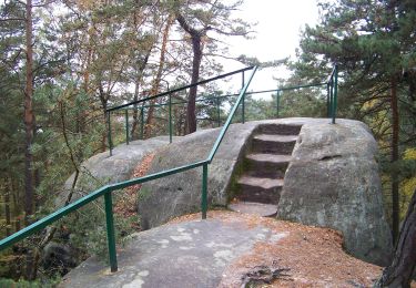 Tour Zu Fuß Koberwald - CZ-Chléviště - Photo