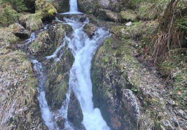 Percorso Marcia Abondance - Lacs des plagnes - Photo