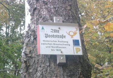 Tocht Te voet Harztor - Alte Poststraße - Photo