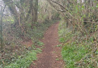 Trail Walking Lignières-Orgères - Lignières Orgères - Photo