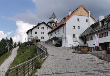 Randonnée A pied Tarvisio - IT-617 - Photo