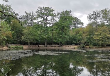 Tour Wandern Poissy - GRP CV-IDF 2023 - Photo