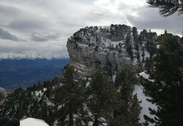 Tour Wandern Plateau-des-Petites-Roches - l aulp du seuil  - Photo