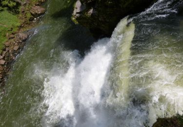 Trail On foot La Chaux-de-Fonds - La Chaux-de-Fonds - Saut du Doubs - Photo