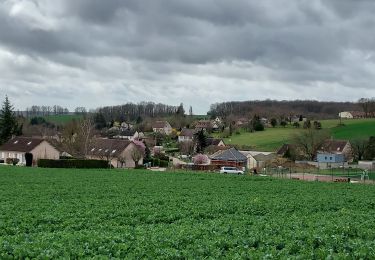 Randonnée Marche Villiers-Louis - Villiers-Louis 230325 - Photo