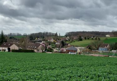 Tour Wandern Villiers-Louis - Villiers-Louis 230325 - Photo