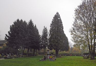 Tour Zu Fuß Tetschen - [Ž] Velký Chlum - Boletice - Photo