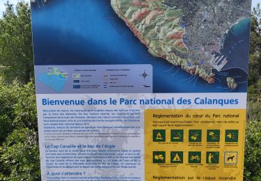 Trail Walking Cassis - Chemin des crêtes + 397  - Photo