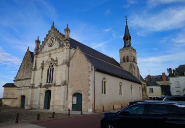 Percorso Marcia Montlouis-sur-Loire - Montlouis-sur-Loire - Entre Loire et vignes GR3 GR655est - 17.4km 190m 3h55 - 2022 10 16 - Photo