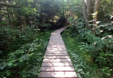 Randonnée Marche Malmedy - cascade du bayehon et un peu plus - Photo