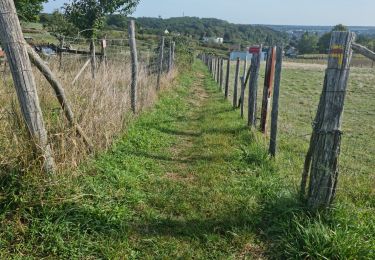 Randonnée Marche Vendôme - Vendôme - Villiers-sur-Loir  - Photo