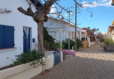 Randonnée Marche Argelès-sur-Mer - argeles - collioure / retour par la mer  - Photo