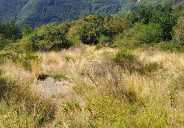 Tour Wandern Bagni di Lucca - Ponte a Gaio - Rifugio Cesentini - Belvedere - Photo