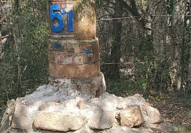 Randonnée Marche Le Muy - roquebrune argens - Photo