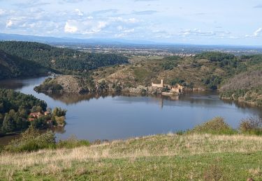Tocht Elektrische fiets Saint-Just-Saint-Rambert - 2411013 saint Victor sur Loire  - Photo