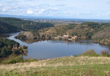 Trail Electric bike Saint-Just-Saint-Rambert - 2411013 saint Victor sur Loire  - Photo