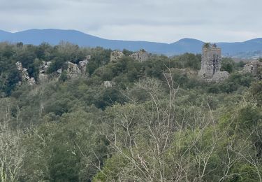 Trail Walking Conqueyrac - Les jumelles de Monoblet  - Photo