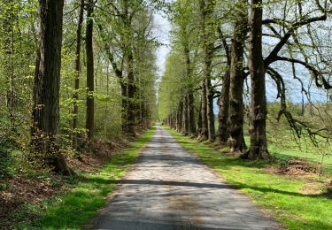 Tocht Stappen Ciney - Achene nouvelle balade - Photo