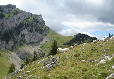 Percorso Marcia Saint-Christophe-sur-Guiers - Petit Som - Photo