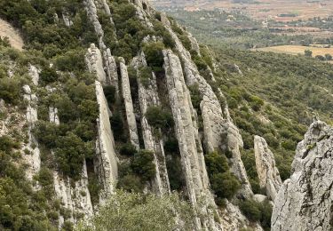 Excursión Senderismo Puyloubier - Ste Victoire (pic des Mouches et brèche du clapier) - Photo