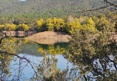 Tour Wandern Bormes-les-Mimosas - TRAPAN.Retour par les 5 plages - AB- - Photo