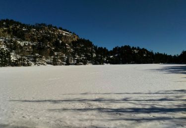 Tocht Sneeuwschoenen La Llagonne - Du pla des Aveillans au lac des Bouillouses - Photo