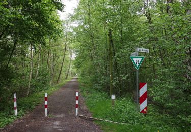 Tour Zu Fuß Neustadt am Rübenberge - Mardorf Rundwanderweg M4 (Moorweg) - Photo