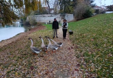 Trail Walking La Ferté-sous-Jouarre - Ferté sous Jouarre et la Meulière - Photo