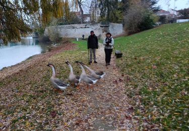 Tocht Stappen La Ferté-sous-Jouarre - Ferté sous Jouarre et la Meulière - Photo