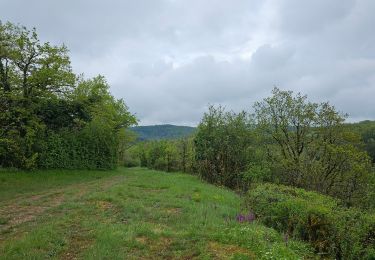 Trail Walking Écrille - Quelque part dans le Jura 🥾 - Photo