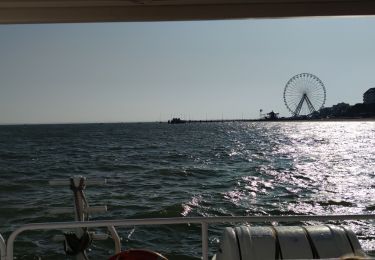 Randonnée Vélo de route Arcachon - tour du bassin d'Arcachon - Photo